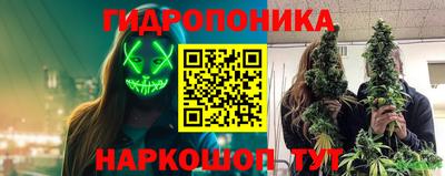 прущие крисы Обь