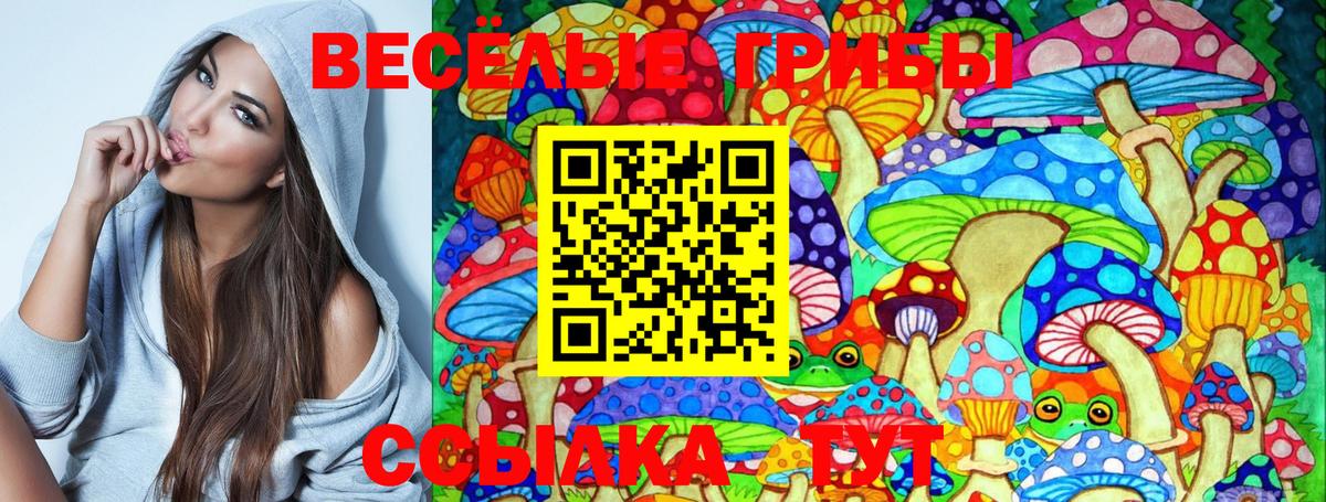 Псилоцибиновые грибы GOLDEN TEACHER  Вход с VPN  Северобайкальск 