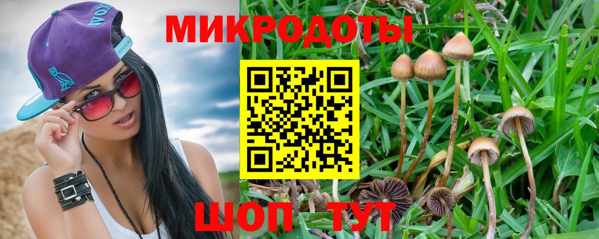 Псилоцибиновые грибы Magic Shrooms Северобайкальск